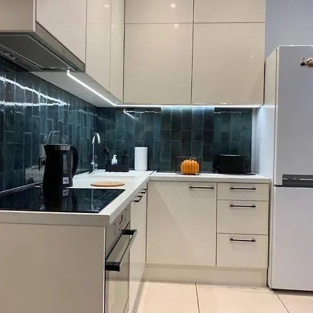 Erts Dzivoklis Pasa Rigas Centra Ideala Vieta