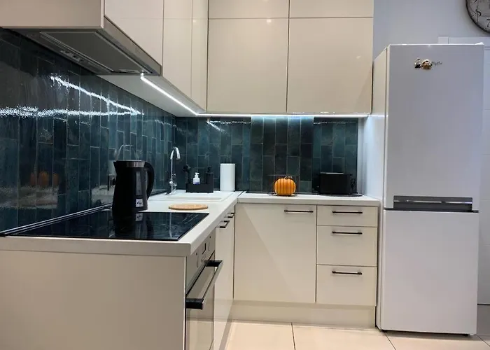 Erts Dzivoklis Pasa Rigas Centra Ideala Vieta